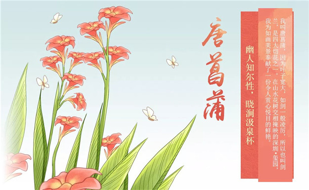 ��ҳ|���������й��ٷ���վ